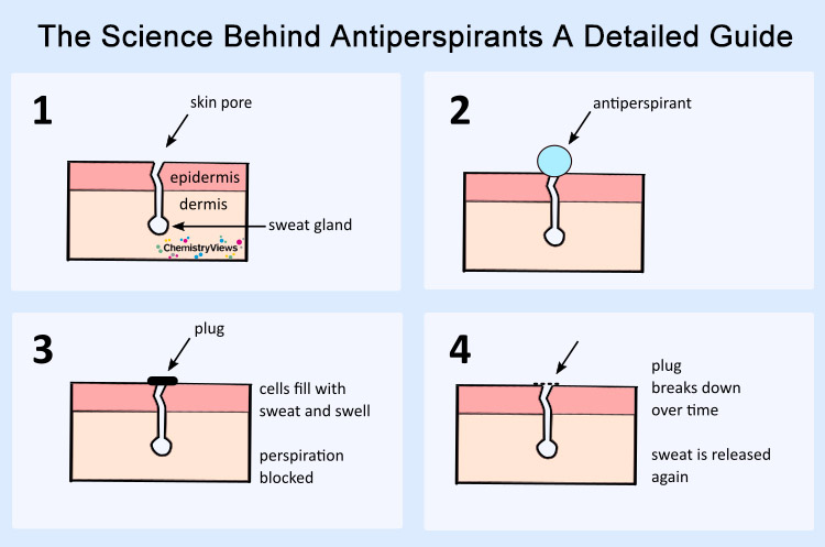 The Science Behind Antiperspirants: A Detailed Guide